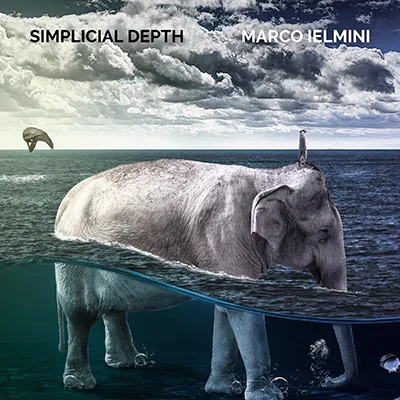 Simplicial Depth
