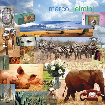 Marco Ielmini